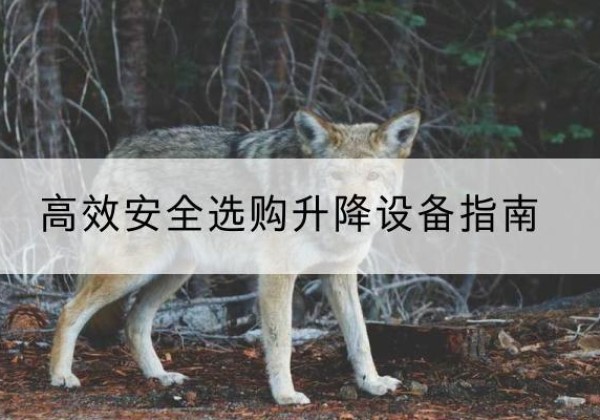 巩留升降货梯厂家推荐-*安全选购升降设备指南