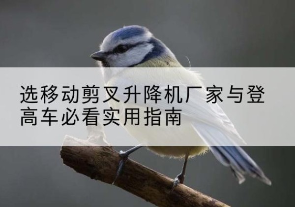 巩留电动升降机厂家-选移动剪叉升降机厂家与登高车必看实用指南