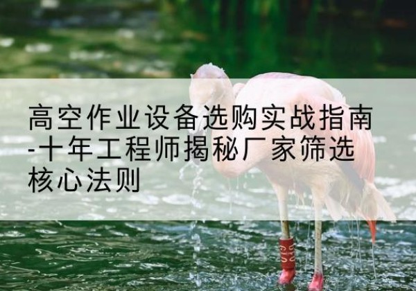 巩留剪叉式升降机厂家-高空作业设备选购实战指南-十年工程师揭秘厂家筛选核心法则